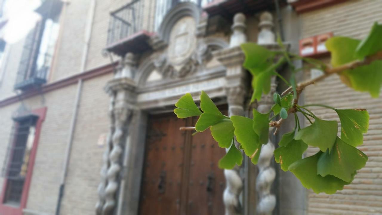 Patio San Jerónimo Casa de Arte Granada Exterior foto